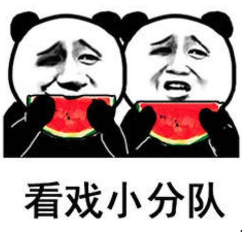 吃娱乐圈瓜表情包